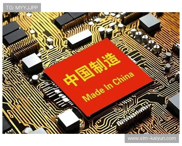 硬件加速芯片定制化 提升解码效率